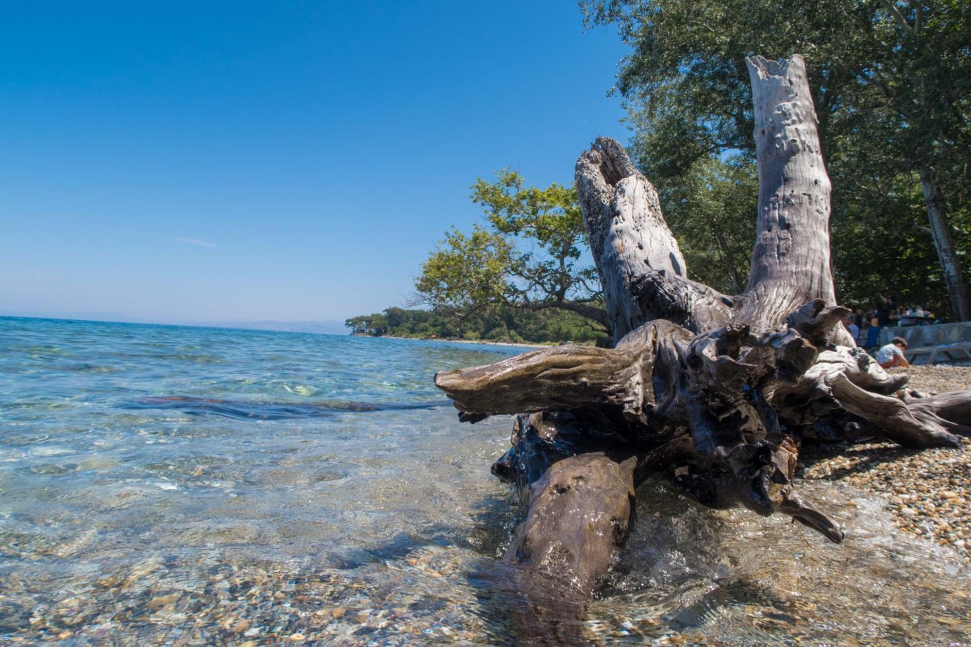 Ecer Pansiyon Κουσάντασι Εξωτερικό φωτογραφία